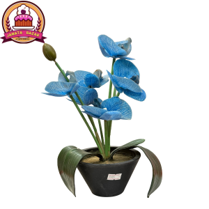 FLOWER POT